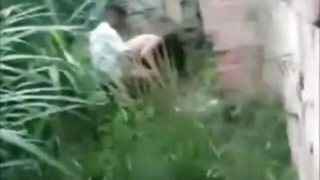 هالووین بسیار نرم افزار سکس چت شیدا