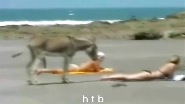 امتحان داستان سکسی سکس چت گریم